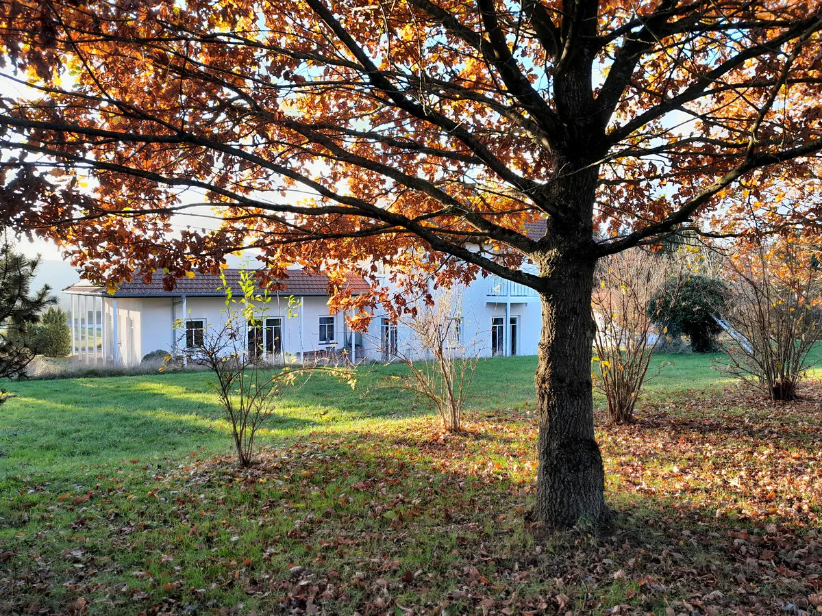 Blick aus dem Wäldchen auf das Openier Haus von Foodtureland im Herbst