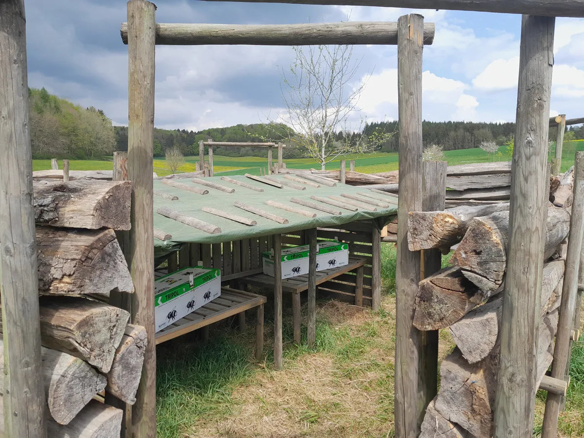 Hummelhaus und Insektenhotel aus Holz an der Holzbeige auf Foodtureland Openier