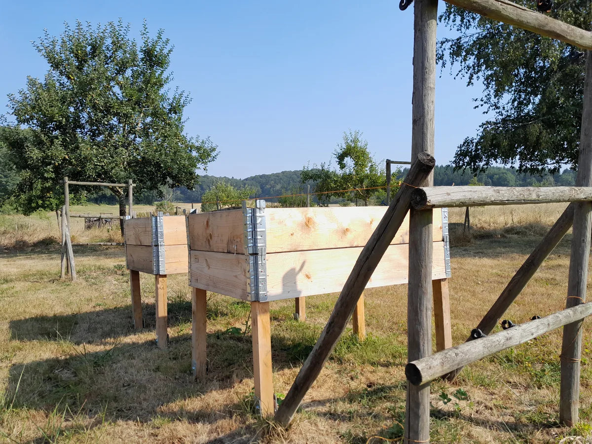 Von Kalle gebaute Hochbeete auf der Streuobstwiese Foodtureland Openier