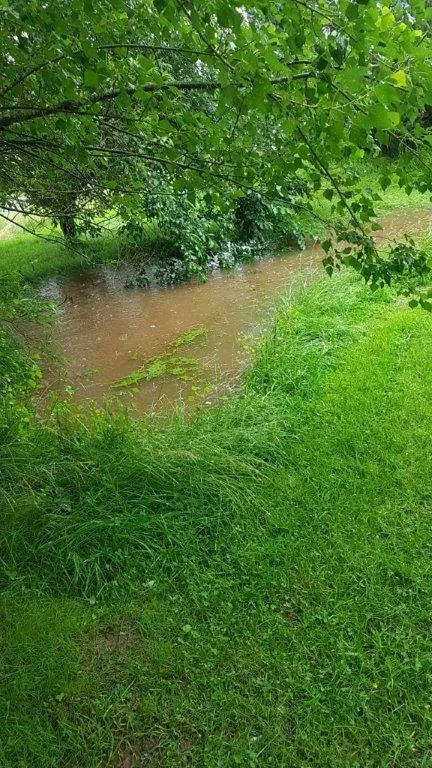 Gefüllter Teich auf Foodtureland Openier nach dem Regen